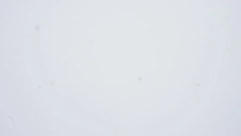 Large snow on the background Stock-Footage 153206888