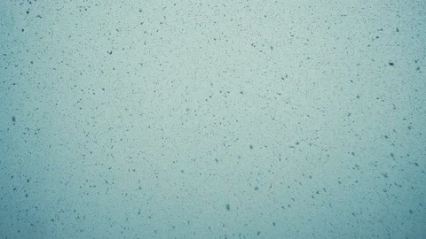 Large snow flakes are falling from the sky, very large snow falls by a wall, a Stock Footage 86287517