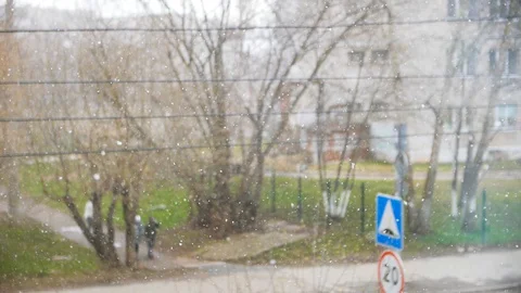 Large snow flakes falling down during an early spring on city street with green Vidéo 129549436