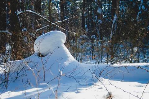 Large snowdrift on a fallen tree Stock Photos