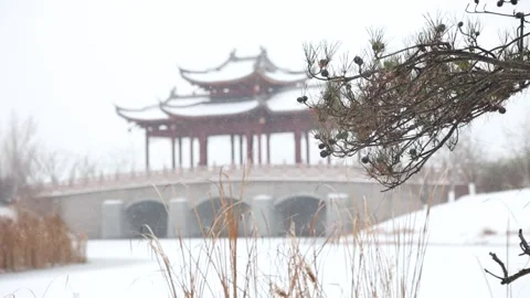 Large snowflakes drift slowly down in winter. Vídeos de archivo 347341311