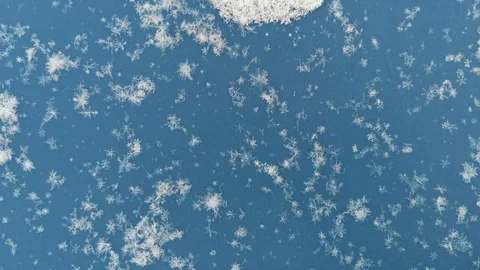 Large snowflakes fall on the blue surface Stock Footage 120602788