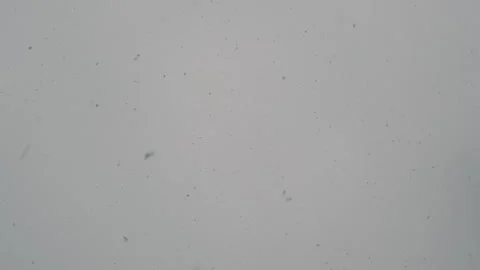 Large Snowflakes Falling Against a Grey Winter Sky Stock Footage 321774179