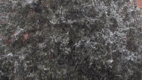 Large snowflakes falling at high speed Stock Footage 147457680