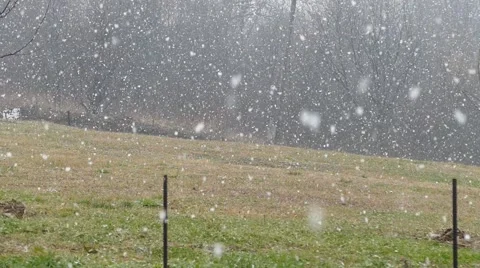 Large Snowflakes Falling In Slow Motion Stock Footage 46520066