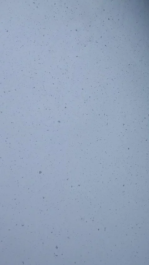 Large Snowflakes Falling in Slow Motion Stock Footage