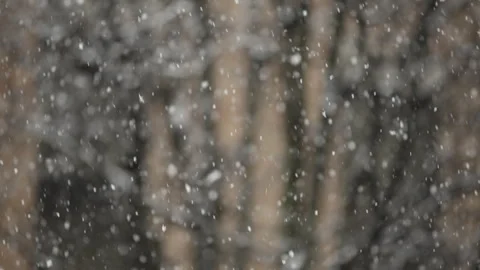 Large Snowflakes Falling in Slow Motion Видео 328237720