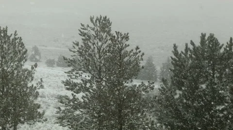 Large Snowflakes Stock Footage 54758096