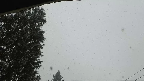 Large Snowflakes Stock Footage 92452104