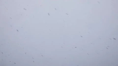 Large snowflakes swirling in the wind close-up during a snowstorm Stock Footage 222962453
