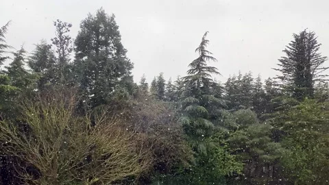 Large snowflakes whirl and fall from the sky Stock-Footage 152965618