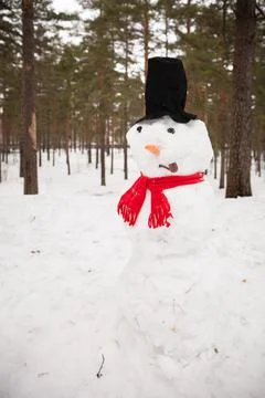 A large snowman in the forest dressed in a red scarf and hat with a carrot Stock Photos