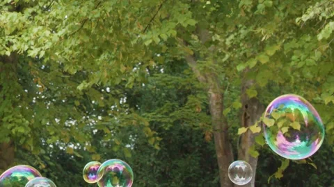 Large soap bubbles floating through summer garden with green foliage backgr.. Stock Footage 332645626