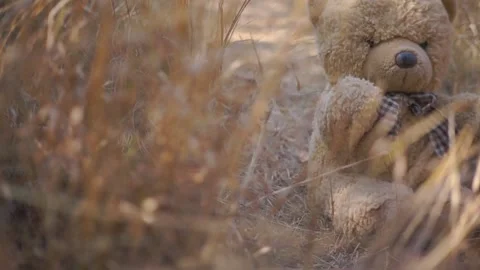 A large soft toy teddy bear lies in the grass Stock Footage 94711677
