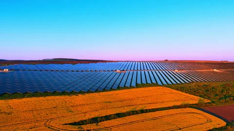 Large solar installation beside rapeseed and wheat fields at sunset. Orange 動画素材 336899875