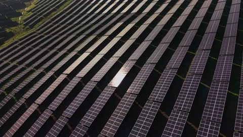 Large solar panel array captures sunlight at solar farm Vidéo 329993007