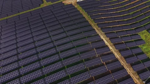 Large solar panel array captures sunlight for energy production Vidéo 330000042