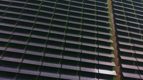 Large solar panel array located in a sunny field generating energy Stock Footage 330001345
