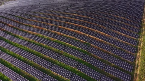 Large solar panel array located in a green field collecting sunlight Vídeos de archivo 330001727