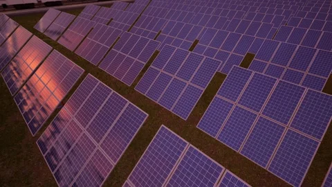 Large Solar Panel Array at Sunset Stock Footage 317544710