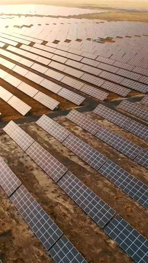 Large solar panel farm at sunset for green energy Video stock 331935107