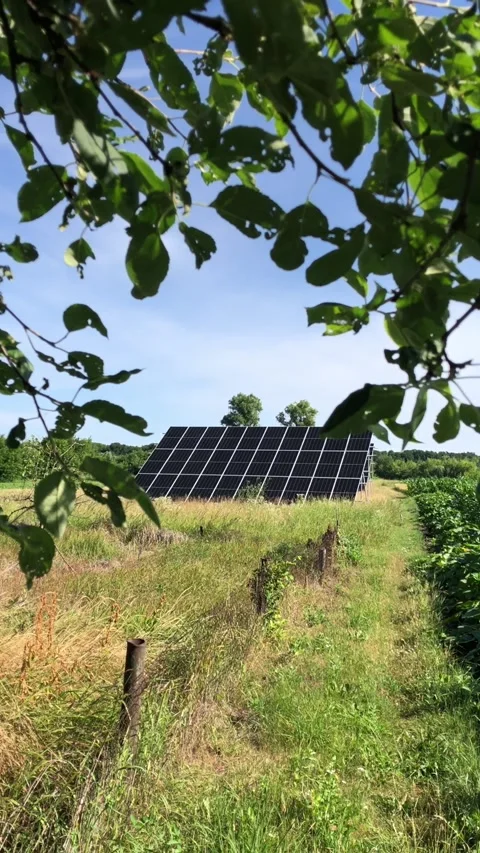 Large solar panels installed in a rural vegetable garden in Ukraine. Stock Footage 341555937