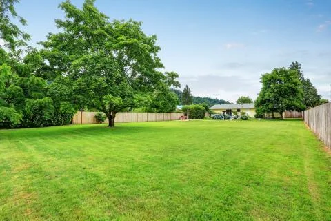 Large spacious backyard area, filled with green grass. Northwest, USA Stock Photos