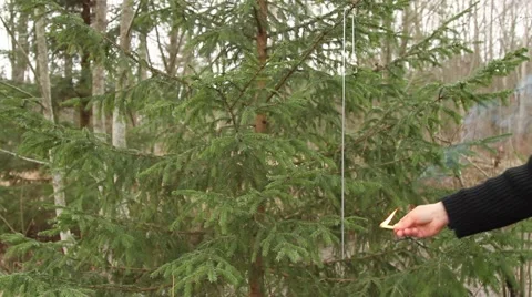 Large sparkler hanging in christmas tree (speed up footage) Stock Footage 44219604