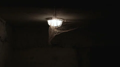 A large spider web hangs from a bright electric lamp. A huge spider web sways 스톡 동영상 166206916