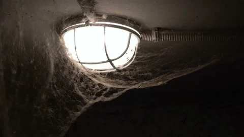 A large spider web hangs from the ceiling of a bright lamp in a dark basement 스톡 동영상 166207563