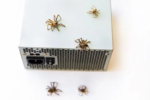 Large spiders on the computer's power supply. Foto stock