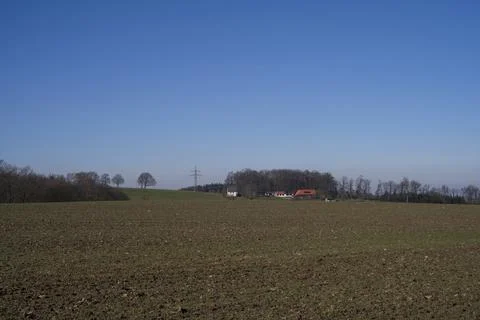 A large spring field with trees and a house in the distance. A blue sky above 스톡 사진