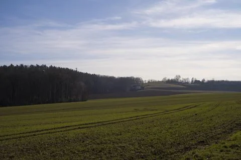 A large spring field with trees and a house in the distance. A blue sky above Stock Photos