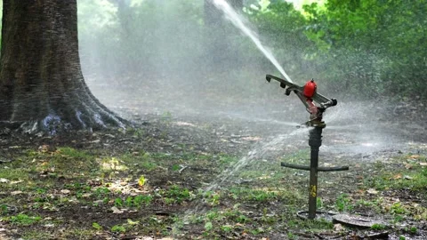 A large sprinkler in a Berlin park. Stock Footage 220226946