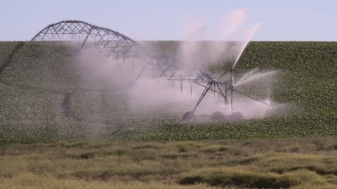 Large sprinkler Stock Footage 79834589