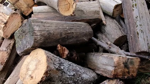 Large stack of dry chopped firewood logs in rural backyard Stock Footage 347269078