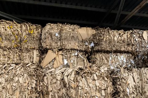 Large stack of finely cut paper for recycling inside the building Stock Photos