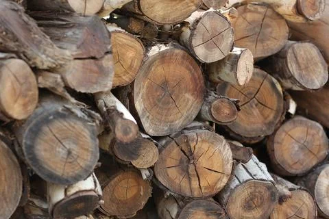 Large Stack of Firewood for Burning and Ignition Fotos Stock