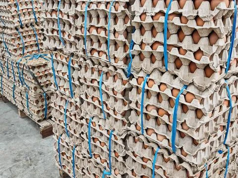 Large Stack of Fresh Brown Eggs in Industrial Plastic Trays Stock Photos