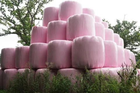 Large stack of hay bales wrapped in plastic film forming a geometric three di Stock Photos