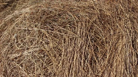 Large stack of hay. Stock Footage 44216414