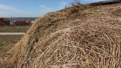Large stack of hay. Stock Footage 44216485