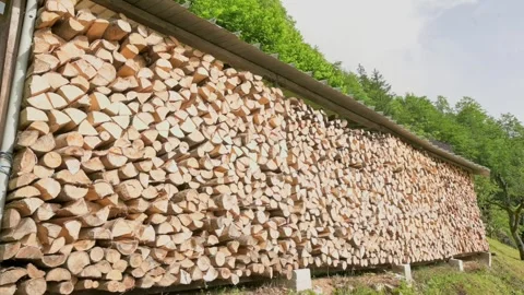 A large stack of neatly arranged firewood against a shed, set in a lush green Stock Footage 281107298