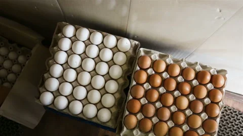 A large stack of packages of eggs is on the floor. Top view, camera movement fro Stock Footage 102525954