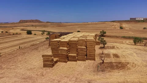 Large stack of rectangular hay bales piled high in a dry harvested field under Stock Footage 343888796