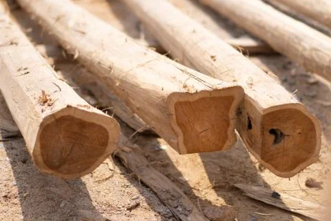 Large stack of wood planks, teak wood Stock Photos