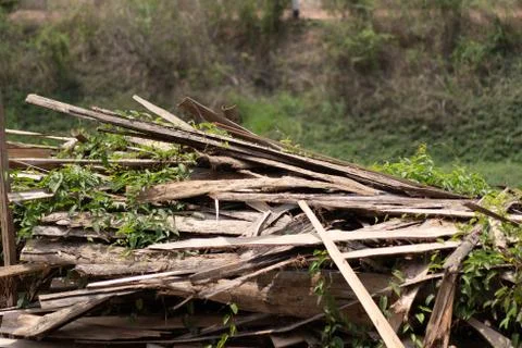 Large stack of wood planks, teak wood Stock Photos