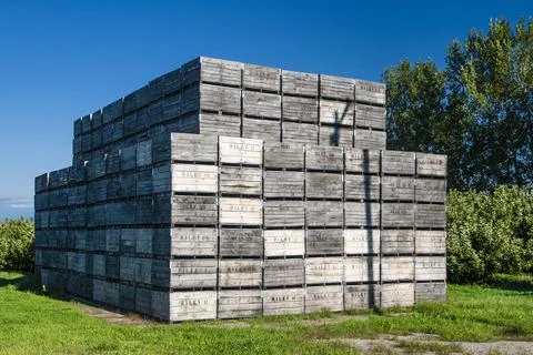 Large stack of wooden boxes outdoors 写真素材
