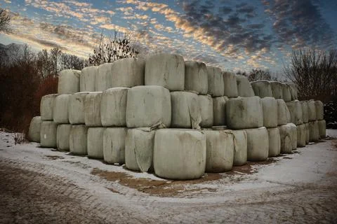 A large stack of wrapped hay bales arranged in a pyramid shape on a snowy f.. Stock Photos