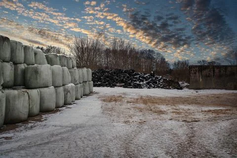 A large stack of wrapped hay bales arranged in a pyramid shape on a snowy f.. Stock Photos
